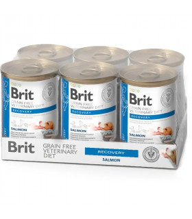 Recuperação úmida para cães e gatos 6x400gr | Brit veterinário dieta úmida